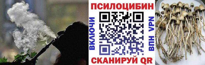 Галлюциногенные грибы MAGIC MUSHROOMS  ОМГ ОМГ сайт  Нефтекумск  где продают  